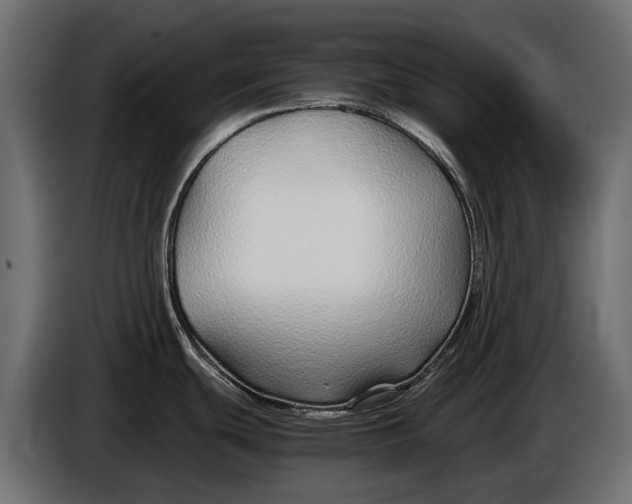 X0000086081439200704132053