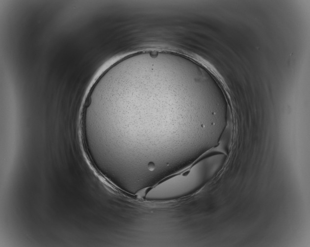 X0000086081440200704132053