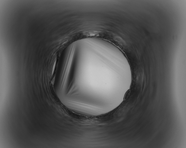 X0000086081442200704132052