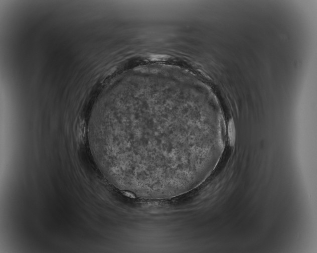 X0000086081443200704132052