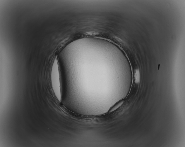 X0000086081444200704132052