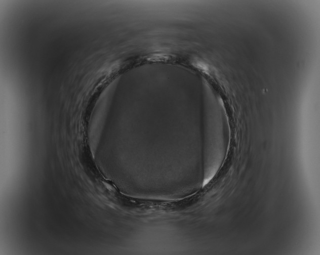 X0000086081445200704132052