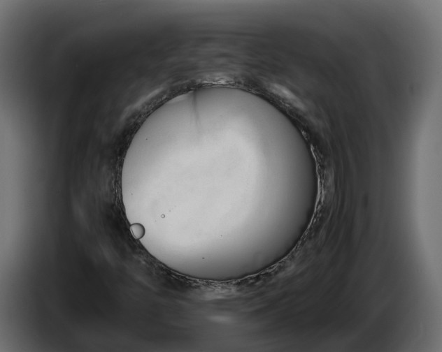 X0000086081446200704132052