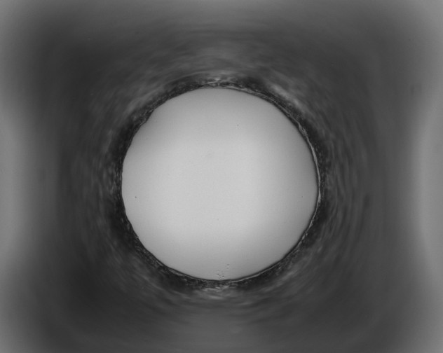 X0000086081447200704132052