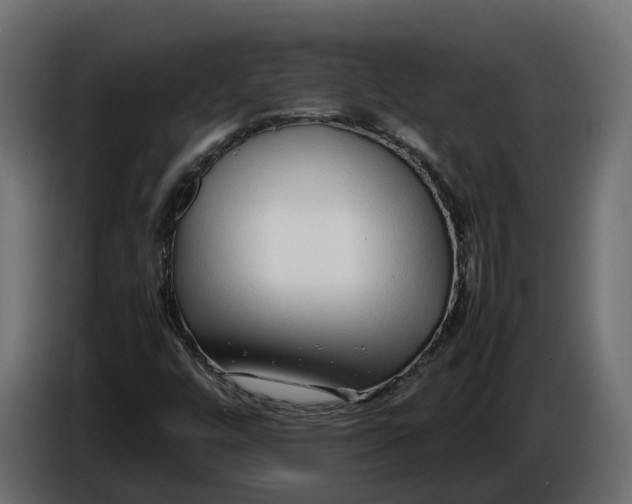 X0000086081448200704132052