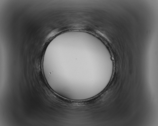 X0000086081451200704132052