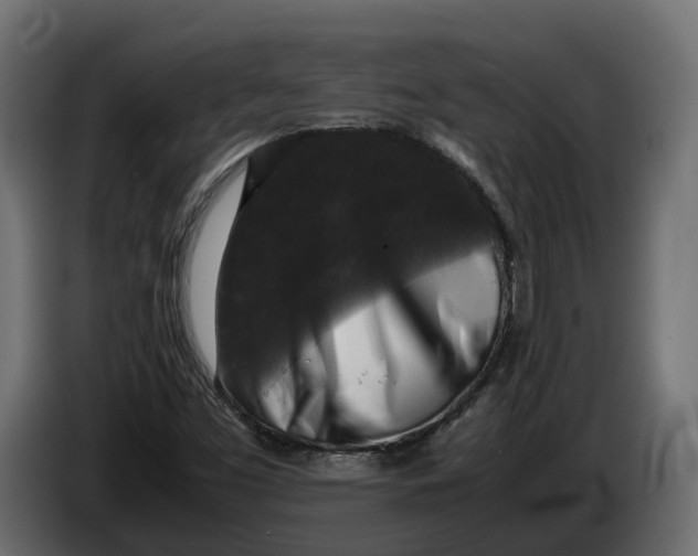 X0000086081453200704132052