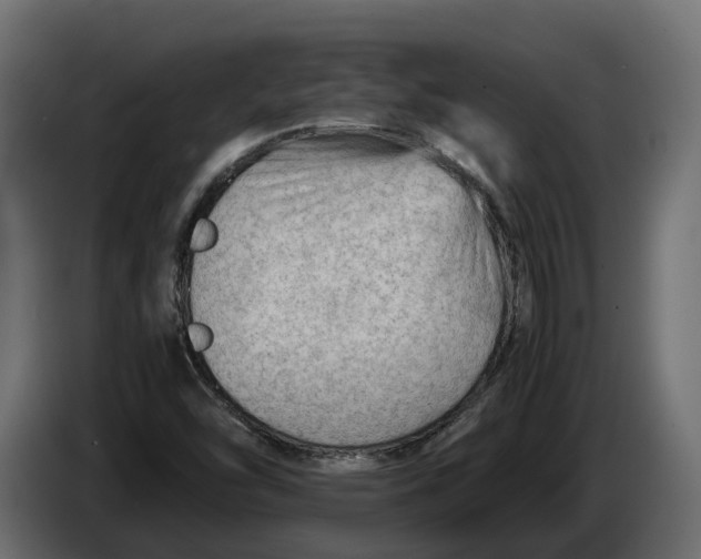 X0000086081454200704132052