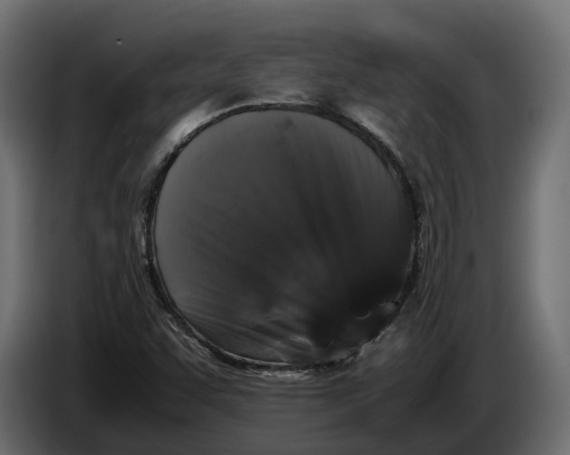 X0000086081455200704132052