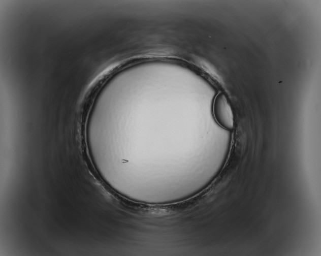 X0000086081456200704132052