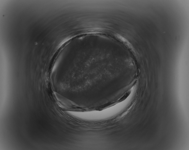 X0000086081457200704132052