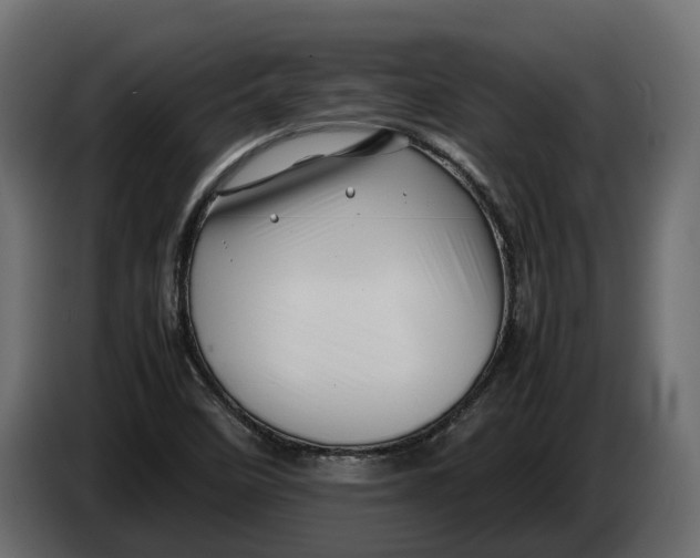 X0000086081458200704132052