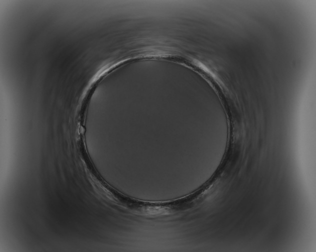 X0000086081459200704132052