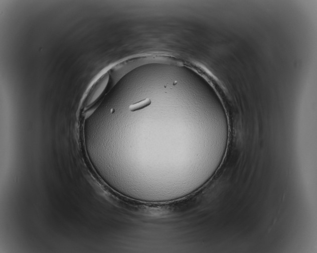 X0000086081460200704132052