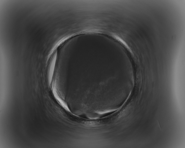 X0000086081461200704132052