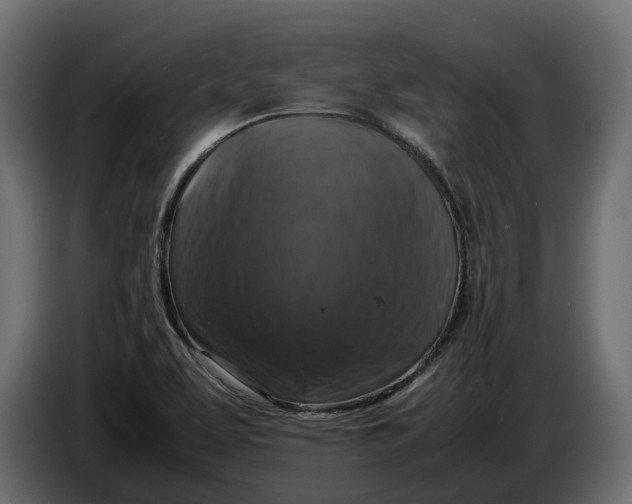 X0000086081463200704132052