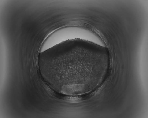 X0000086081465200704132052