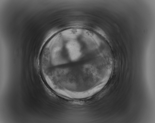 X0000086081466200704132052