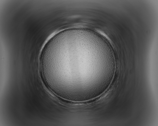 X0000086081467200704132052