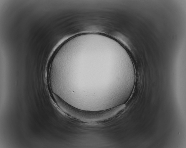 X0000086081468200704132052