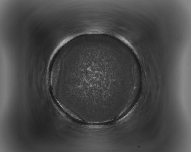 X0000086081469200704132052