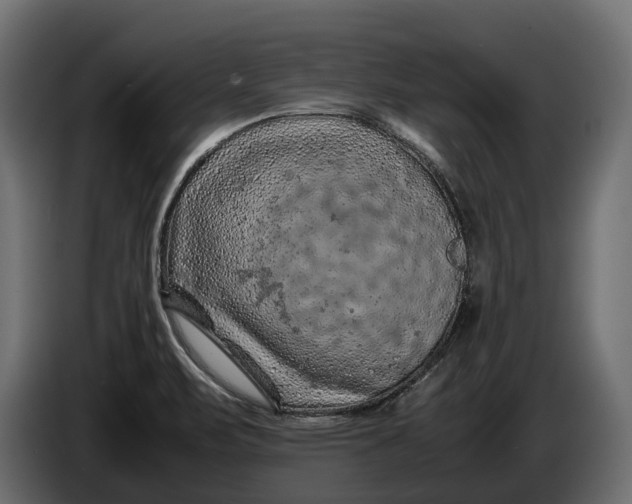 X0000086081471200704132052