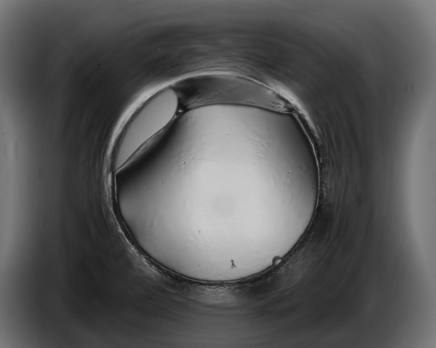 X0000086081472200704132052