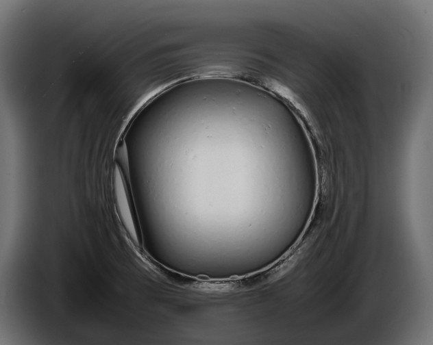 X0000086081473200704132052