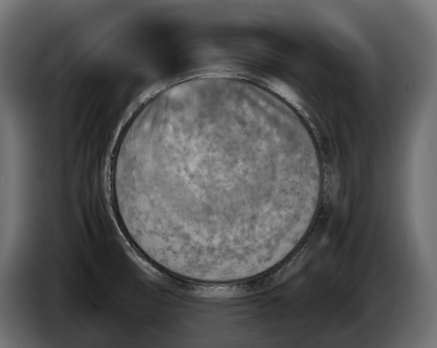 X0000086081474200704132052