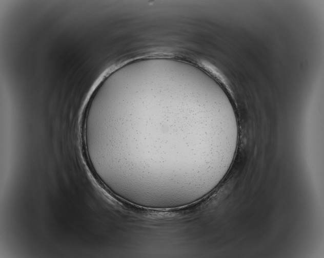 X0000086081475200704132052