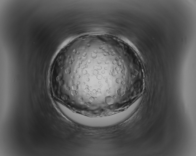 X0000086081477200704132052