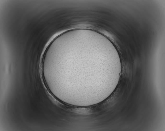 X0000086081478200704132052