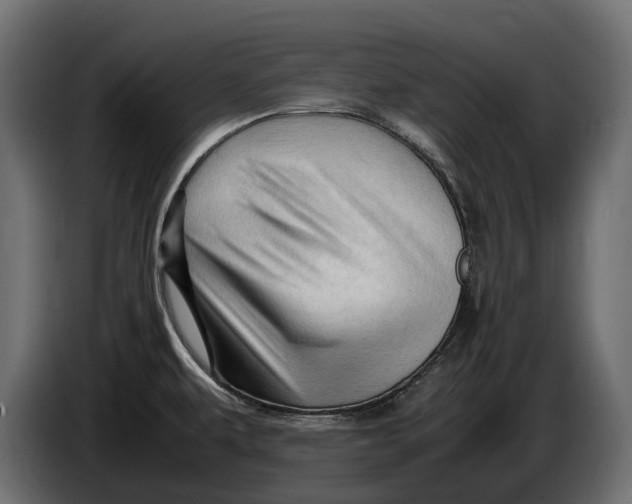 X0000086081479200704132052