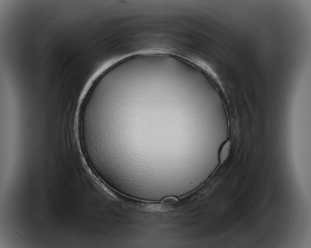 X0000086081480200704132052