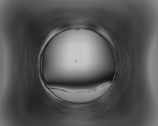 X0000086081483200704132052