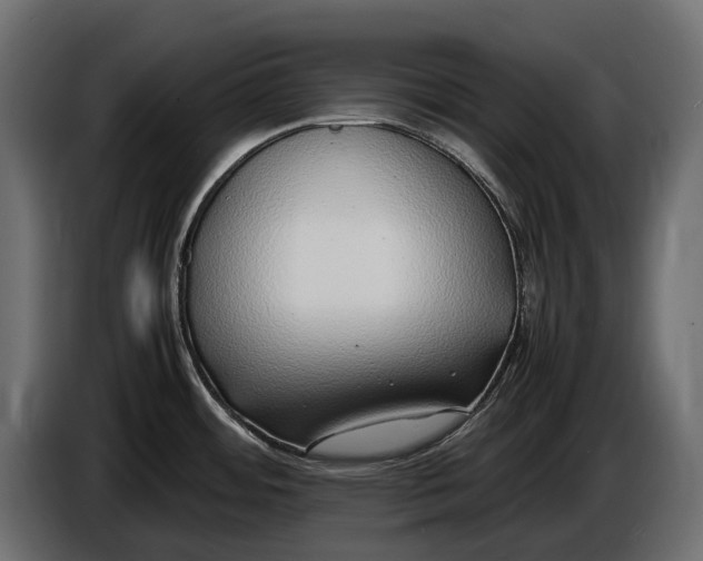 X0000086081484200704132052