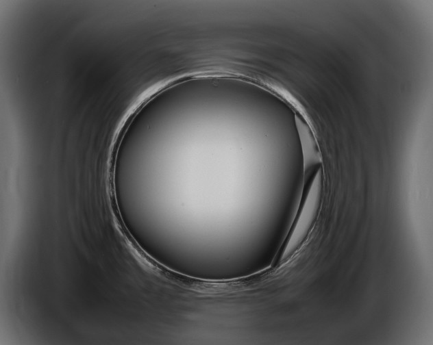 X0000086081485200704132052