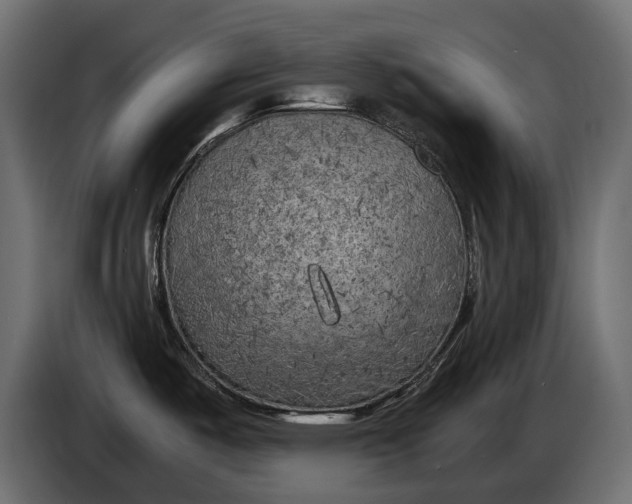 X0000086081487200704132052