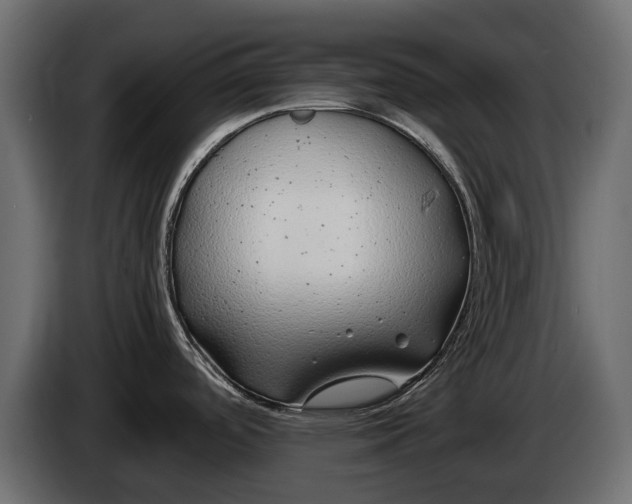 X0000086081488200704132052