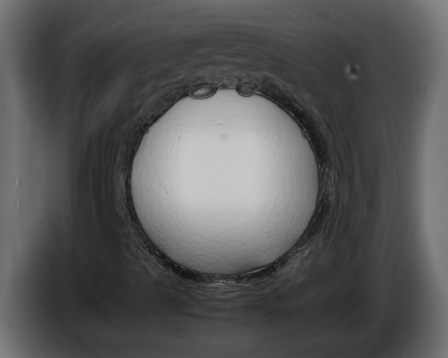 X0000086081489200704132051