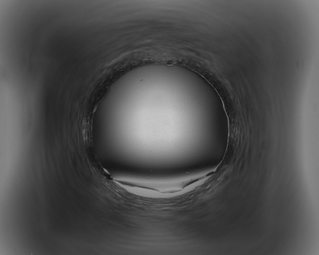 X0000086081490200704132051