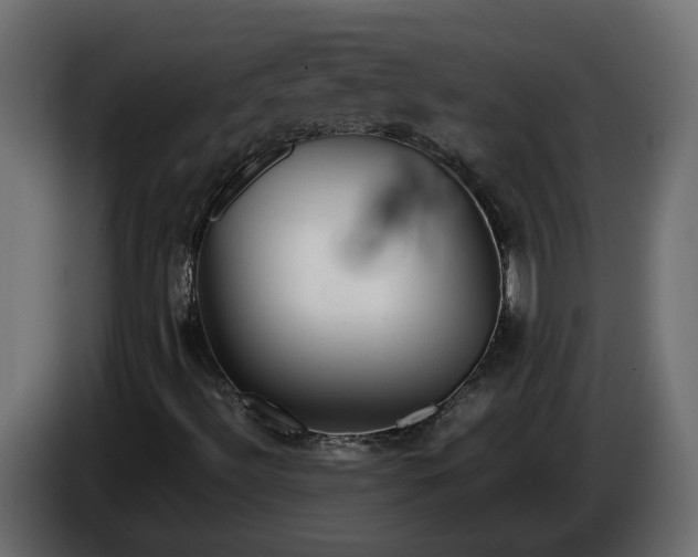 X0000086081492200704132051