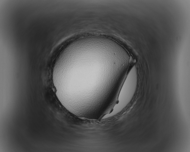 X0000086081494200704132051