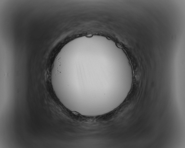 X0000086081495200704132051