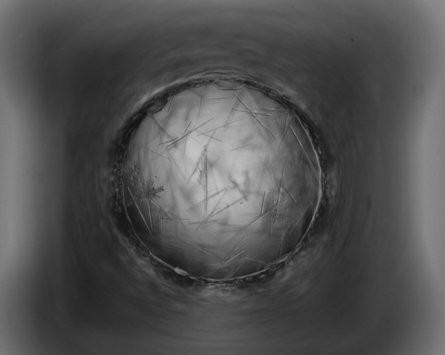 X0000086081496200704132051