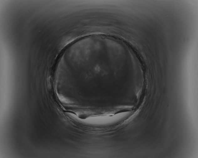 X0000086081497200704132051