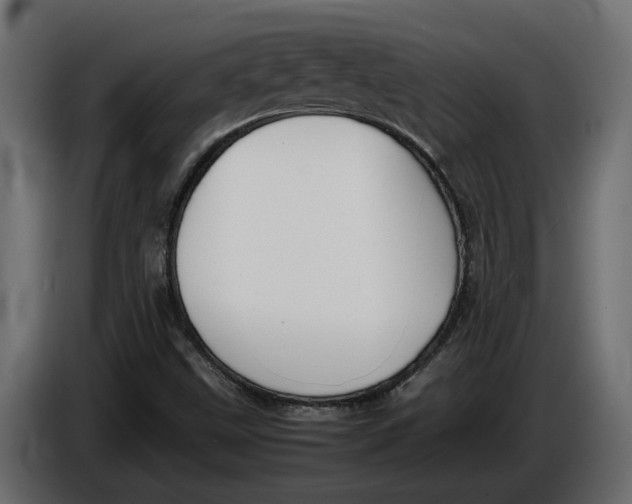 X0000086081499200704132051