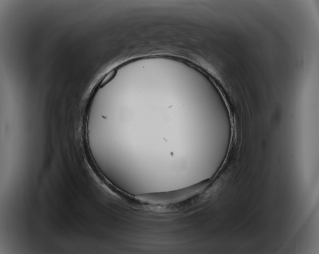 X0000086081500200704132051