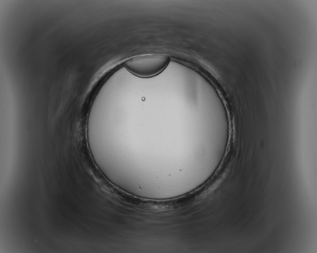 X0000086081501200704132051