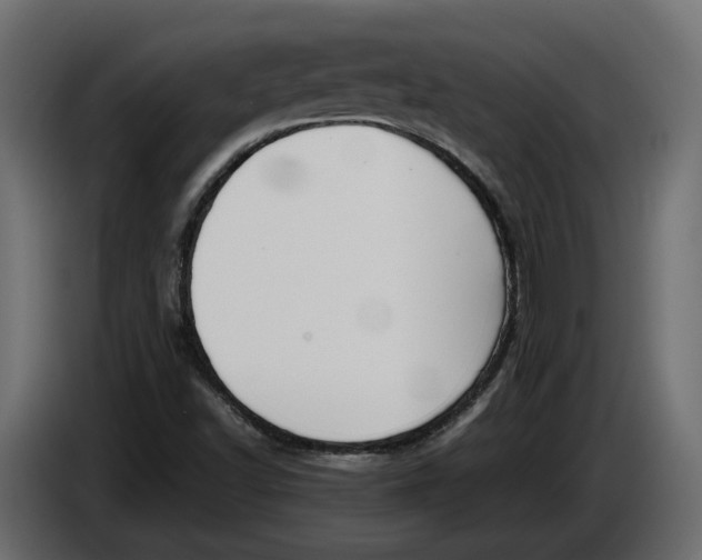 X0000086081502200704132051